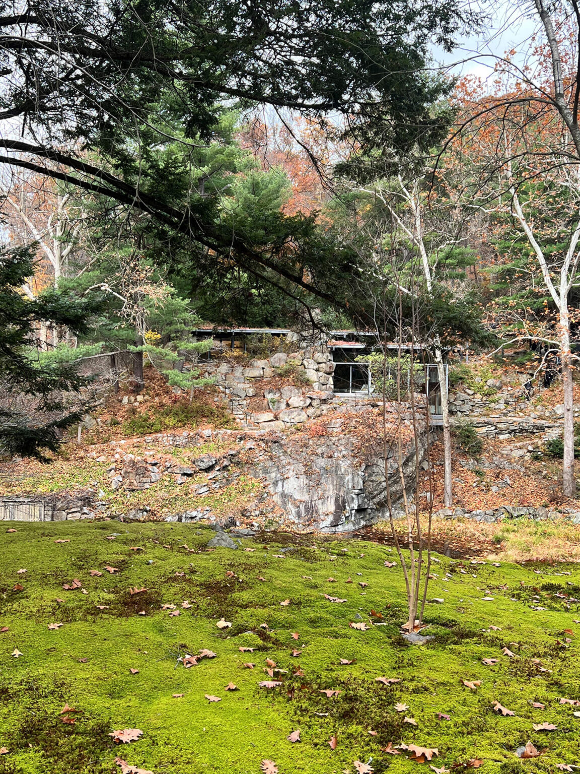 An autumn woodland scene with bright breen moss in the foreground and a house built into a quarry ledge in the background.