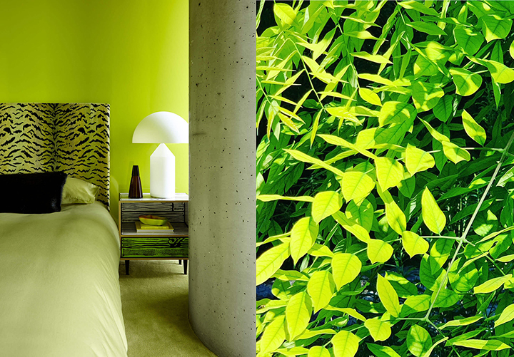 A bedroom with an acid green painted wall and a coordinating animal print headboard; bright greens leaves.