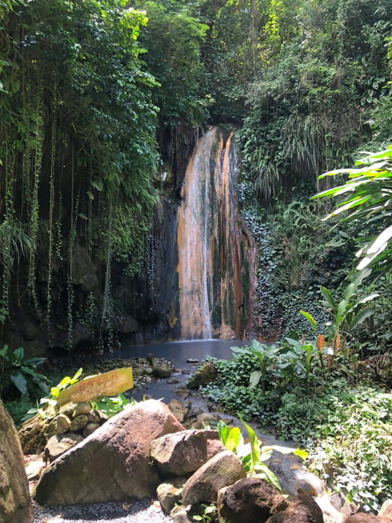 A waterfall in front of colored rocks surrounded by a garden with tropical trees and flowers. 