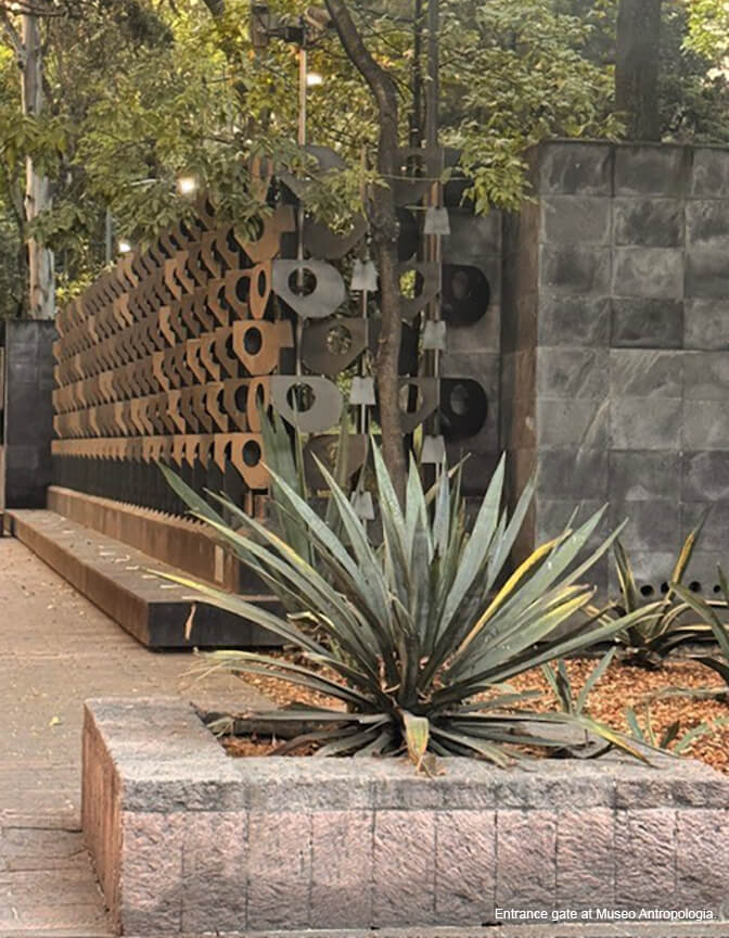 An outside scene of a decorative metal and stone wall in the background and a large agave plant in the foreground.