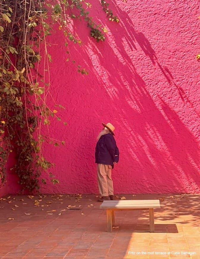 A man with a long white beard, a hat and dark jacket is looking up towards vines against a hot pink stucco wall.