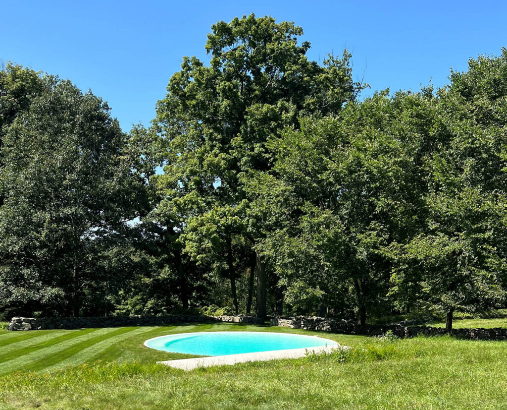 A green lawn with mowed grass and natural grass and a circular swimming pool with trees and a blue sky in the background.