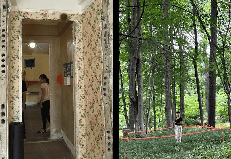 A doorway on a construction site showing old floral wallpaper. A woman, standing in a roped off section of a forest.